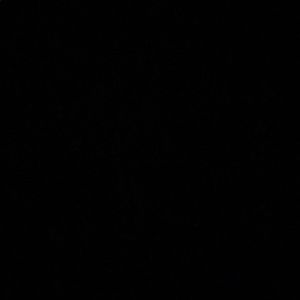 Meet your Posher, Maiya